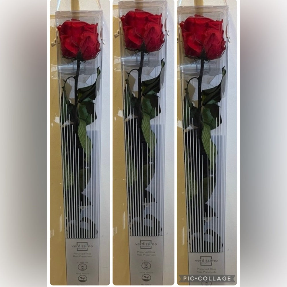 3 - VERDISSIMO Preserved Red Rose in Clear Display Tubes
